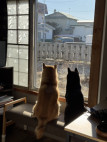 sub_image_text_1